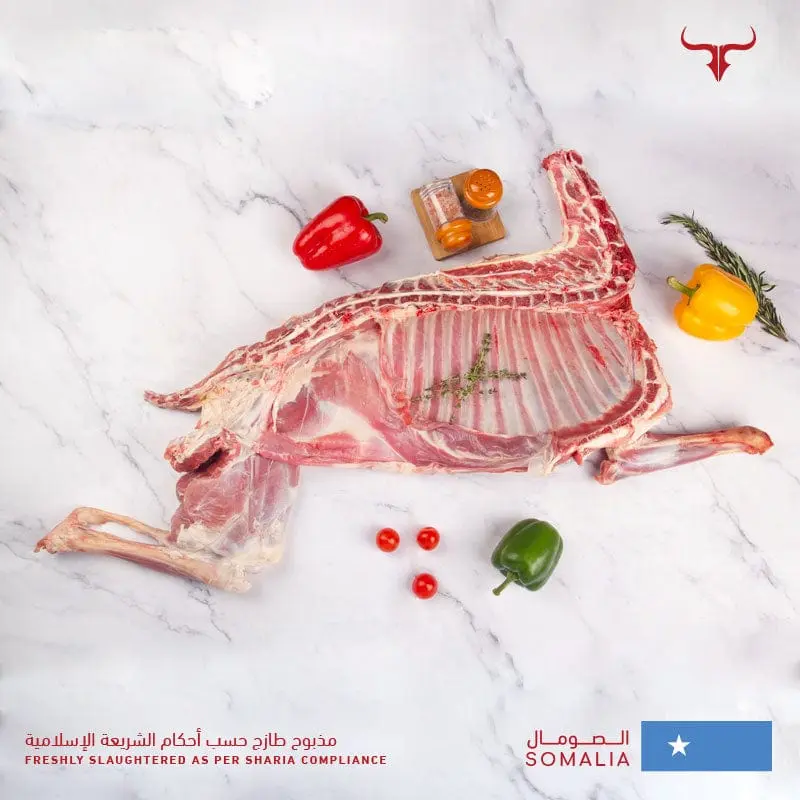 Economical Lamb Carcass 11 Kg - Image 4